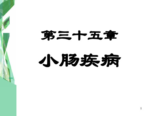 小肠疾病PPT课件
