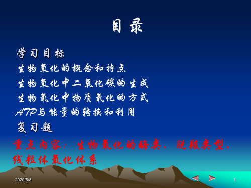 第八章生物氧化[精品ppt课件]