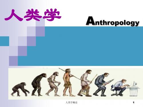 第8章沟通的意义