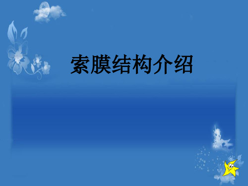 索膜结构介绍