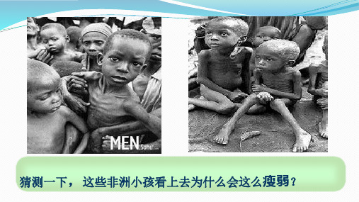 四年级下册科学课件 -3.2 食物中的营养｜教科版 (共20张PPT)