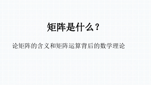 矩阵论第二章