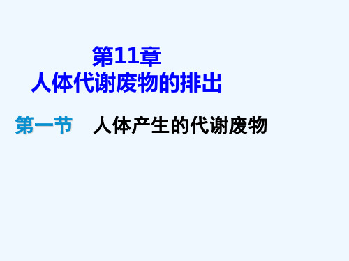 人体产生的代谢废物精品课件
