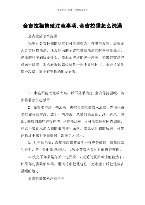 金吉拉猫繁殖注意事项,金吉拉猫怎么洗澡