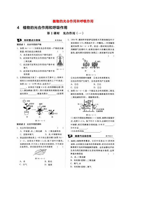 八年级科学上册 第四章 第4节 植物的光合作用和呼吸作用同步练习(扫描版,无答案)(新版)华东师大版