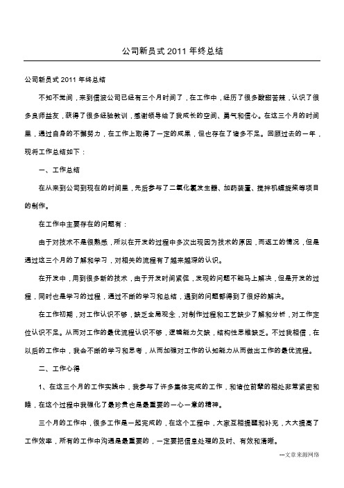 公司新员式2011年终总结