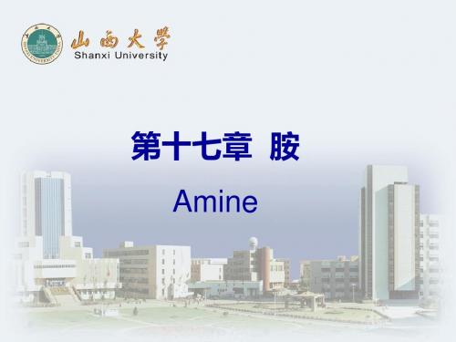 第十七部分胺Amine-精品文档