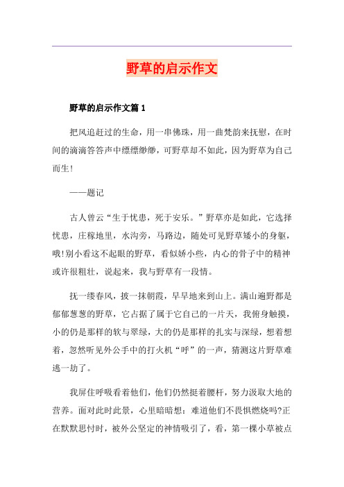 野草的启示作文