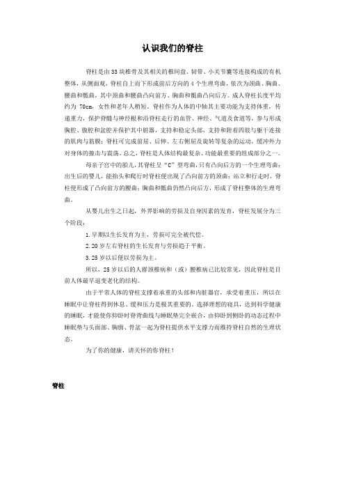 人体脊椎4