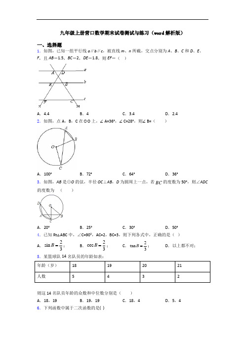 九年级上册营口数学期末试卷测试与练习(word解析版)