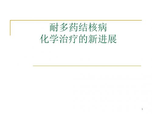 耐多药结核病课件