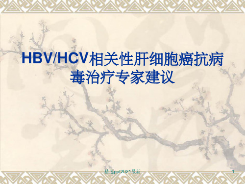 HBVHCV相关性肝细胞癌抗病毒治疗专家建议PPT课件