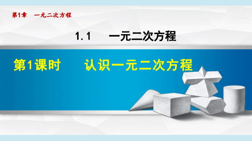 苏科版九年级数学上册《认识一元二次方程》课件