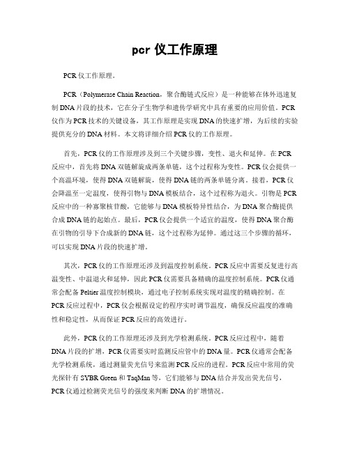 pcr仪工作原理