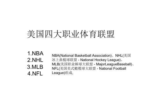 美国四大职业体育联盟