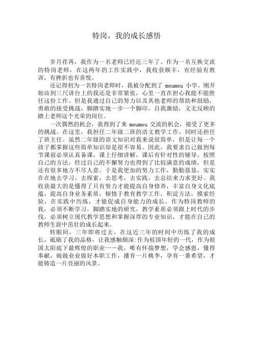 特岗,我的成长感悟