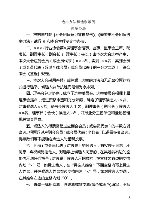 选举办法和选票示例