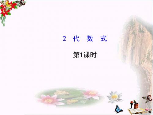 六年级数学上册3.2代数式(第1课时) 优秀课件鲁教版五四制