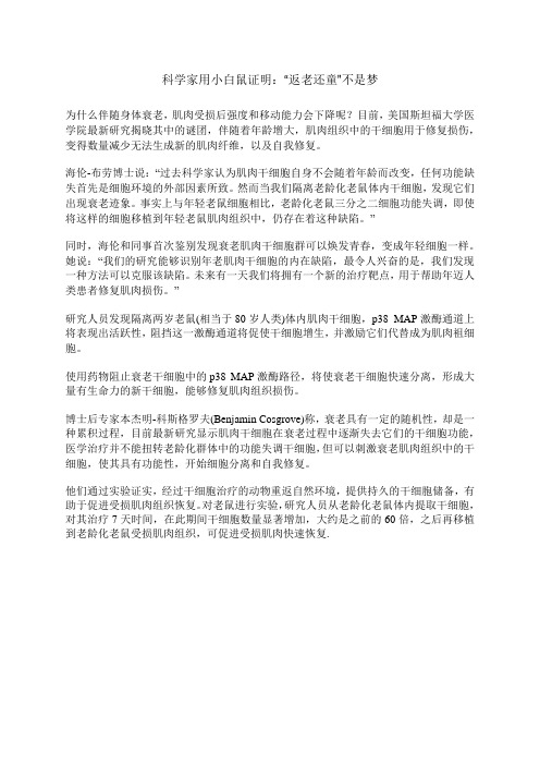 科学家用小白鼠证明-返老还童不是梦