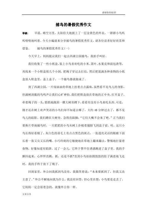 捕鸟的暑假优秀作文