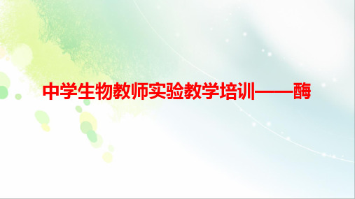 高中生物教师实验教学培训-酶PPT课件