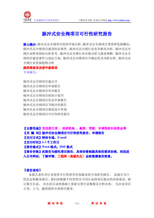 脉冲式安全阀项目可行性研究报告