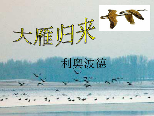 大雁归来(注重语言赏析)