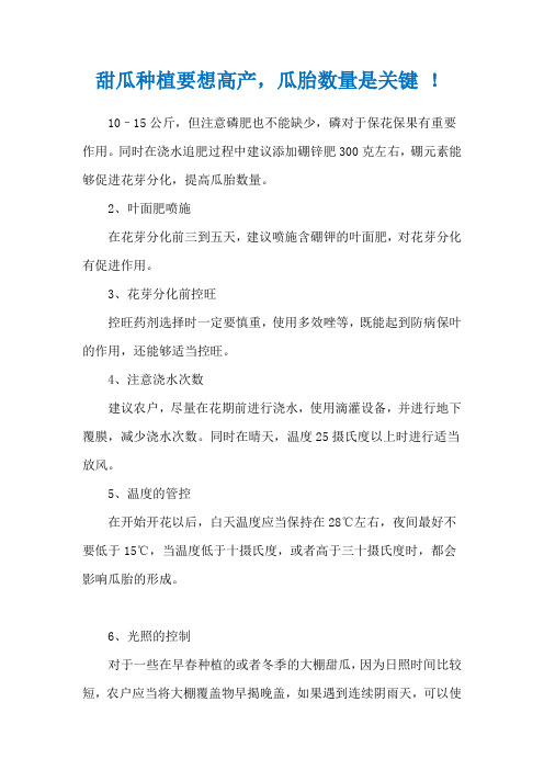 甜瓜种植要想高产,瓜胎数量是关键 !