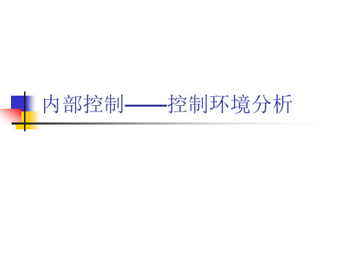 内部控制—控制环境