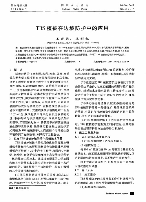 TBS植被在边坡防护中的应用