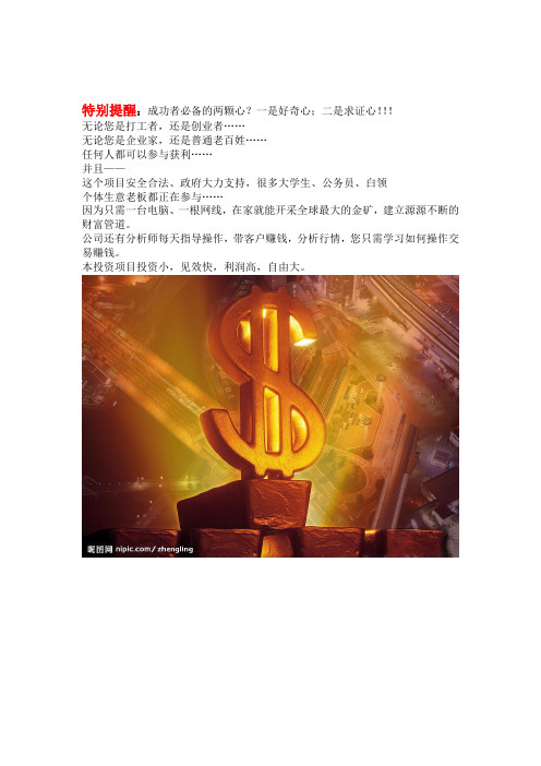 黄金投资建议书(2).doc