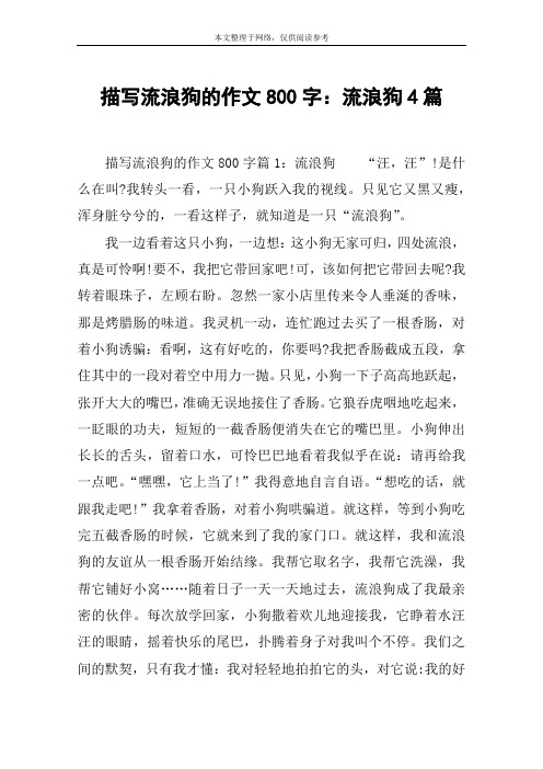 描写流浪狗的作文800字：流浪狗4篇