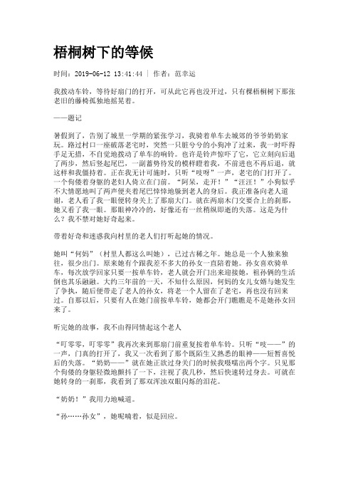 梧桐树下的等候