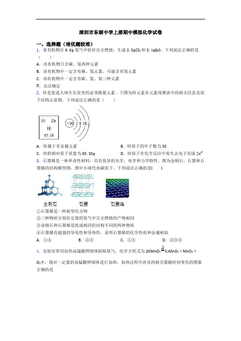 深圳市东湖中学上册期中模拟初三化学试卷