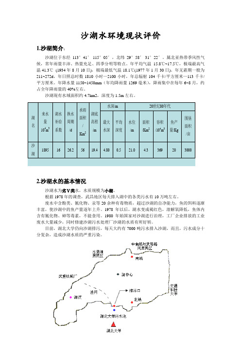 沙湖水现状评价