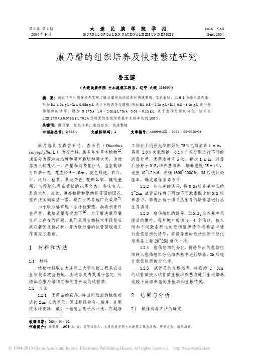 康乃馨的组织培养及快速繁殖研究
