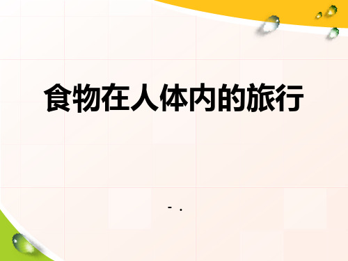 《食物在人体内的旅行》人体的奥秘PPT课件