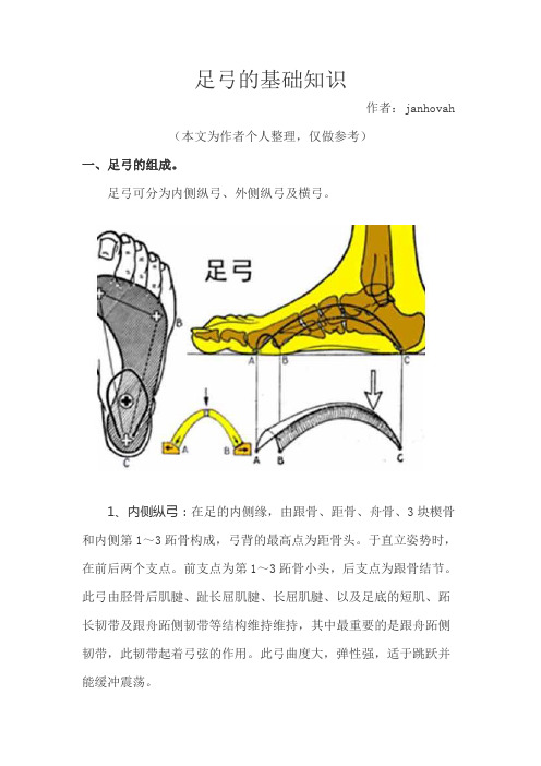 足弓的基础知识