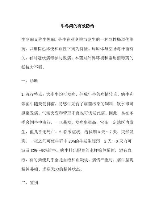 牛冬痢的有效防治