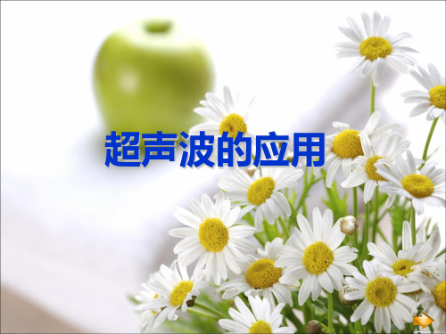 人教版八年级物理上册 2.3《声的利用》课件(共11张PPT)