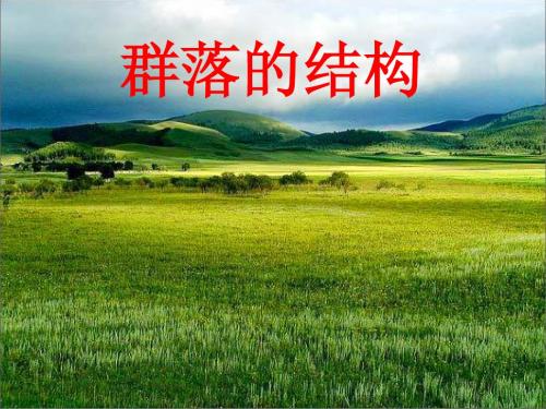群落的结构