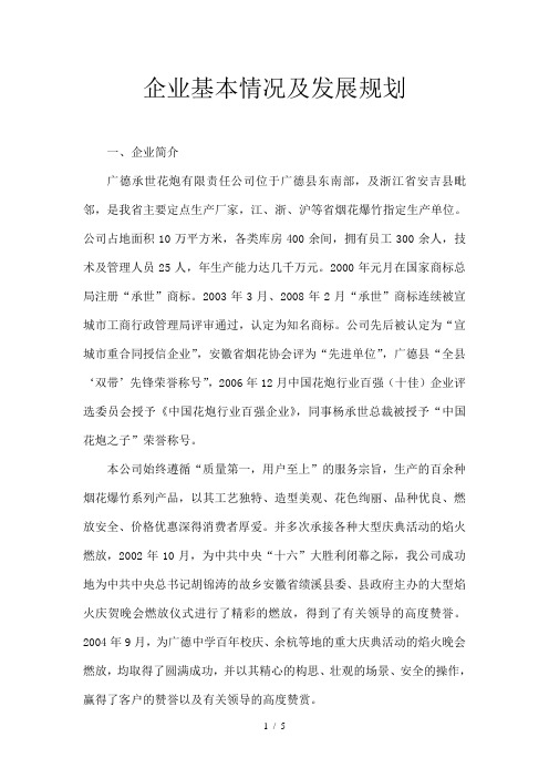 企业基本情况及发展规划