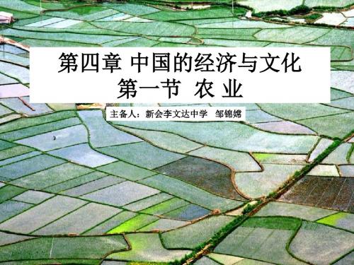 八年级上册 地理  农业