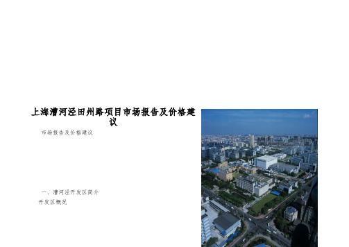 上海漕河泾田州路项目市场报告及价格建议