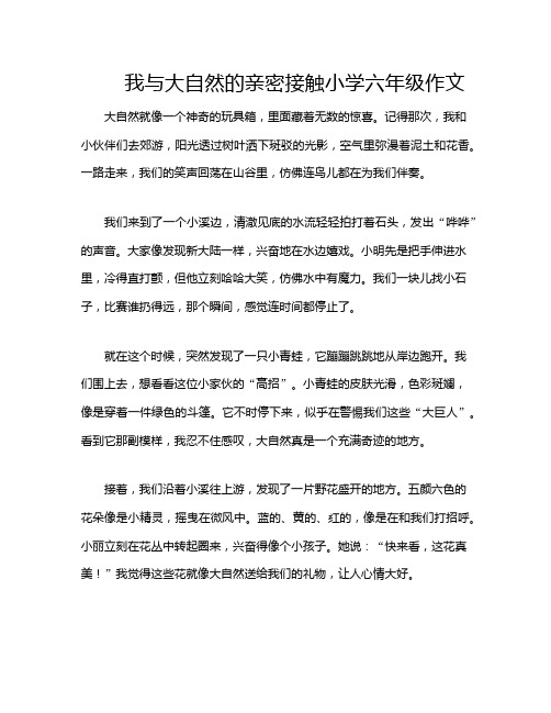 我与大自然的亲密接触小学六年级作文