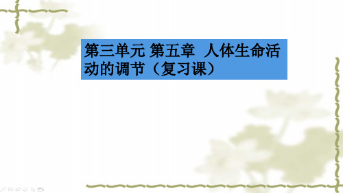 济南版初中生物七年级下册第三单元  第五章人体生命活动的调节(复习)课件(共51张PPT)