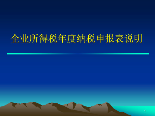 企业所得税年度纳税申报表说明