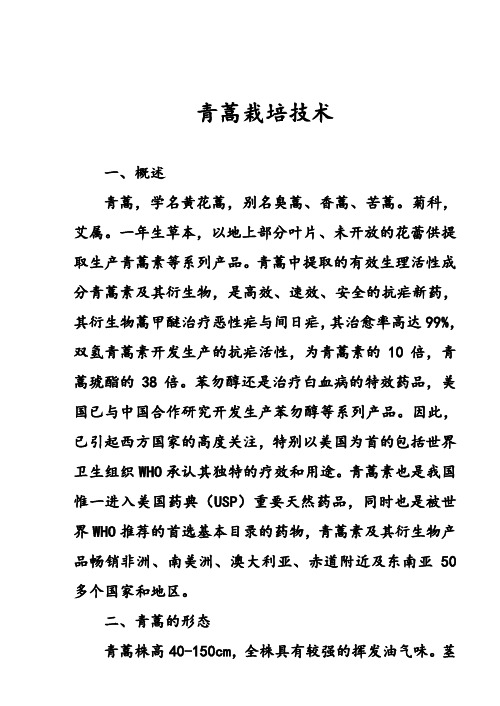 青蒿栽培技术