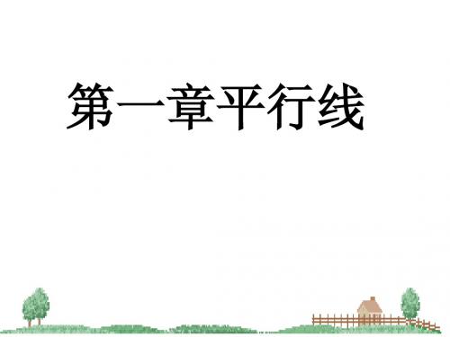 第一章平行线复习课