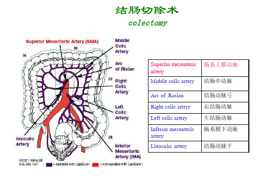 外科手术图谱